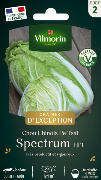 Potagères - Chou Chinois Spectrum HF1 - Graines d'Exception - PACKAGING_RECTO
